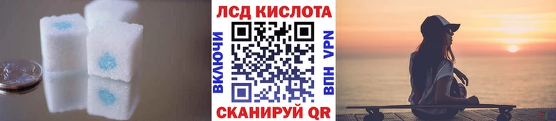 omg зеркало  Бабаево  LSD-25 экстази кислота  сайты даркнета состав  наркошоп 