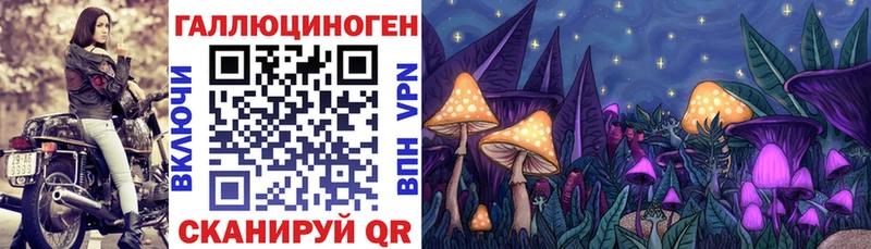 Псилоцибиновые грибы прущие грибы  Бабаево 